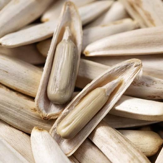 西域果园·新疆马牙瓜子500g  皮白且薄 个大且仁满 商品图3