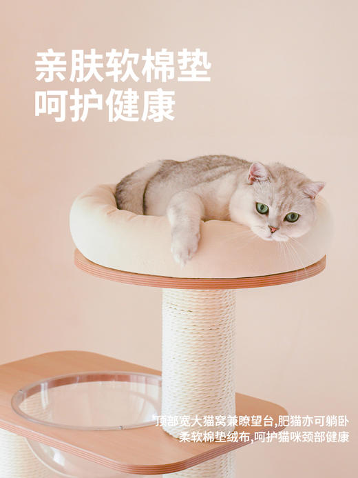 现代风木质大型爬架（包邮）-B 商品图1