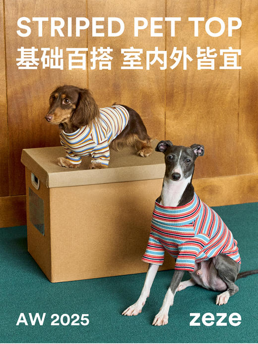 条纹宠物打底衫（包邮）-B 商品图5
