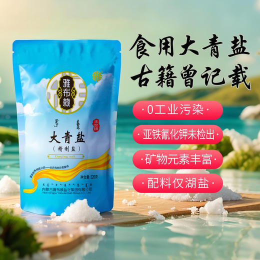 【0317早市】【颗粒均匀】雅布赖 大青盐未加碘 320g/袋 质白无杂 商品图1