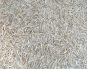 【广报智选自营】「凤啼鸣」沛沛猴广东丝苗米5kg/包