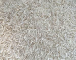 【广报智选自营】「凤啼鸣」沛沛猴广东丝苗米5kg/包 商品图0