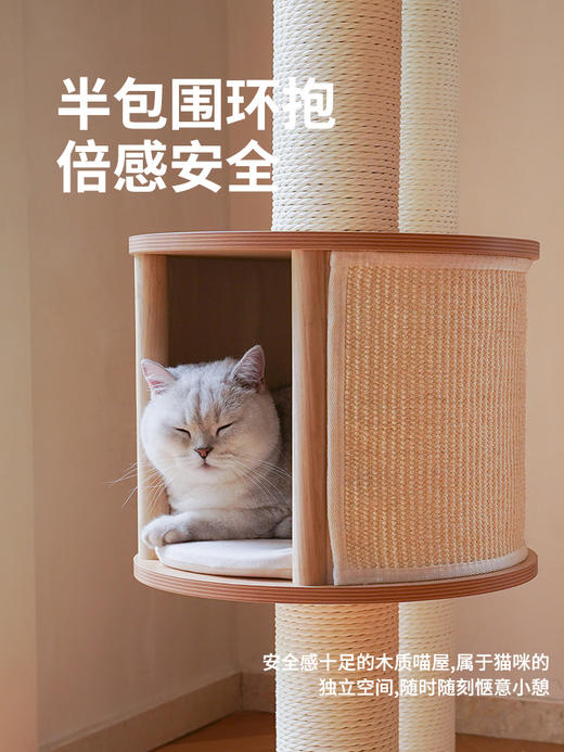 现代风木质大型爬架（包邮）-B 商品图3