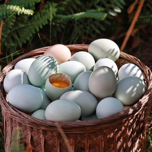 申十一谷物乌鸡蛋绿壳鸡蛋30枚鸡蛋+泡沫盒+稻谷壳JLD103-30枚 商品图7