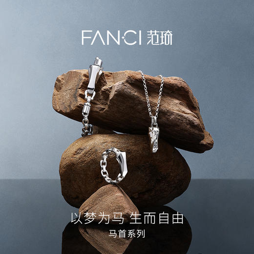 Fanci范琦 马首系列以梦为马项链水纹款轻奢新年送男友生日礼物 商品图1