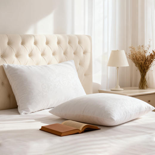 水星臻选臻享抗菌对枕 商品图1