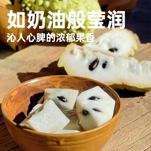 【释迦果花斑果】冰淇淋般的口感 甘甜爽口 醇香浓郁 商品图1