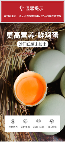 申十一谷物乌鸡蛋绿壳鸡蛋10枚鸡蛋+泡沫盒+稻谷壳JLD103-10枚