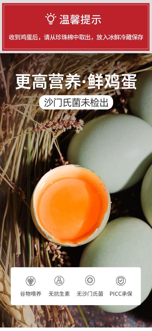 申十一谷物乌鸡蛋绿壳鸡蛋20枚鸡蛋+泡沫盒+稻谷壳JLD103-20枚 商品图1