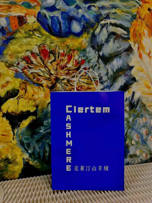 精纺羊绒·送礼礼品袋（需要送礼单独拍，不单独发货） 商品图0