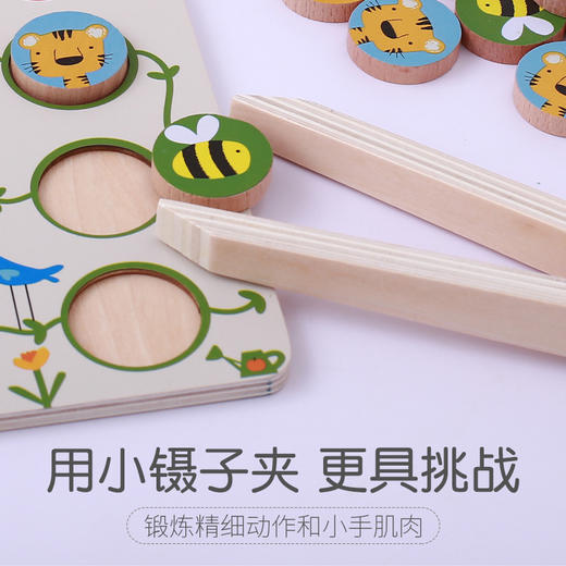 宝宝早教必备夹子排排队益智玩具锻炼手眼协调 商品图5