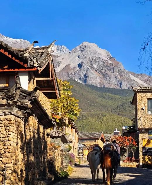 【云南旅游】大理丽江6天5晚亲子研学跟团游 商品图4