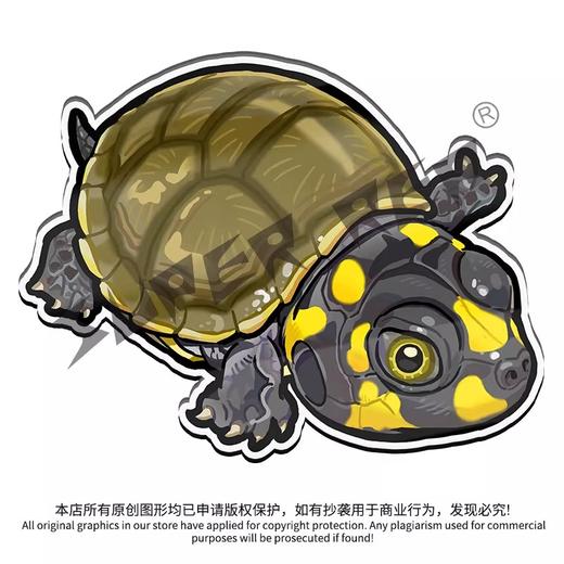冰箱贴 龟⑨ 侧颈龟主题为主 磁吸 Q版 卡通 爬宠爬虫周边 super rep超爬正版【48小时发货】 商品图4