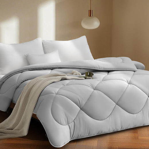 水星臻选暖云灰屿石墨烯大豆被 商品图1