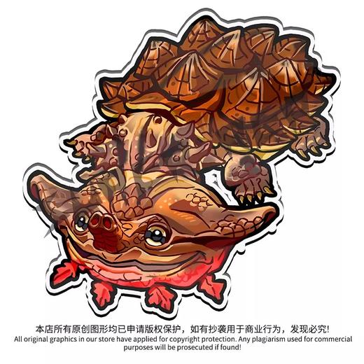 冰箱贴 龟⑨ 侧颈龟主题为主 磁吸 Q版 卡通 爬宠爬虫周边 super rep超爬正版【48小时发货】 商品图5