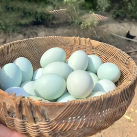 申十一谷物乌鸡蛋绿壳鸡蛋30枚鸡蛋+泡沫盒+稻谷壳JLD103-30枚