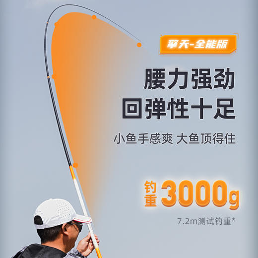 佳钓尼伏魔擎天全能版鱼竿手竿野钓鲤轻量大物综合竿 商品图2
