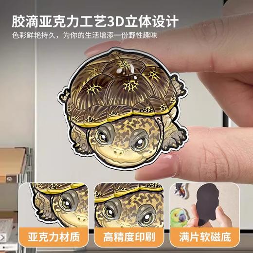 冰箱贴 龟⑨ 侧颈龟主题为主 磁吸 Q版 卡通 爬宠爬虫周边 super rep超爬正版【48小时发货】 商品图8
