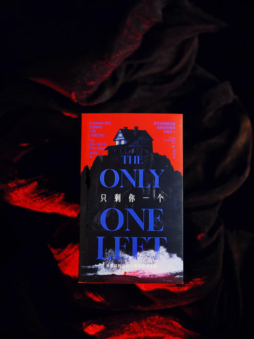 【限量证物袋】只剩你一个（平装32开），年度哥特悬疑王炸，微恐惊悚直起鸡皮疙瘩！女性叙事下关于真相与成长的追索，双女主极限拉扯，层层反转。 商品图7