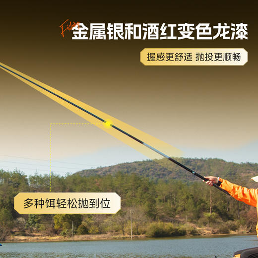 佳钓尼盛世大综合鱼竿手竿超轻超硬碳素手杆鲫鱼竿鲤鱼竿钓鱼装备 商品图2