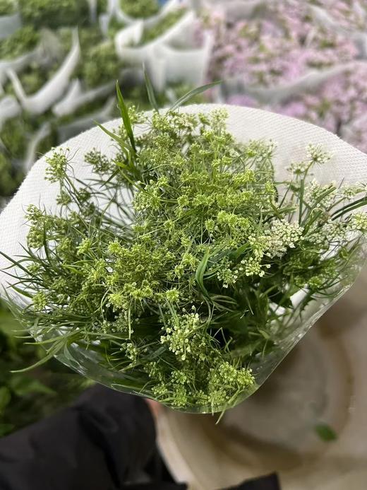 蕾丝配花10支 商品图6