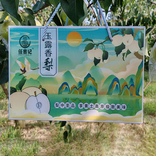 【玉露香梨】圆润饱满 皮薄肉脆 汁多渣少 清甜的“西域甘露” 六枚（5-6斤装） 商品图6