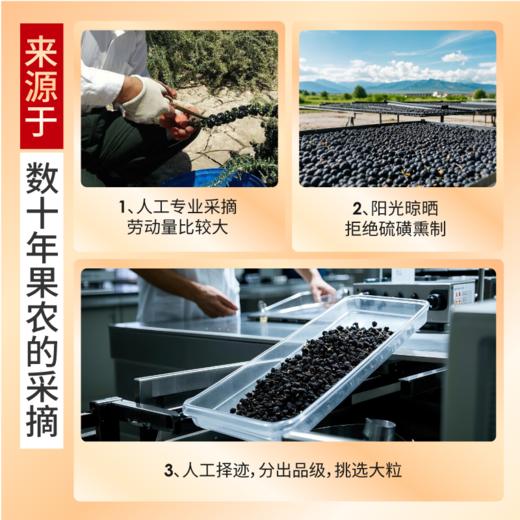 【珍宝岛青海黑枸杞】 天然好货 满满花青素 来自青海好产地 商品图1