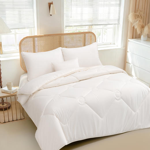 水星臻选澳洲羊毛冬被 商品图2