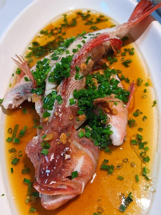 & 海钓东星斑🐠高端好食材，鲜嫩十足💯当天上岸活冻 商品图3