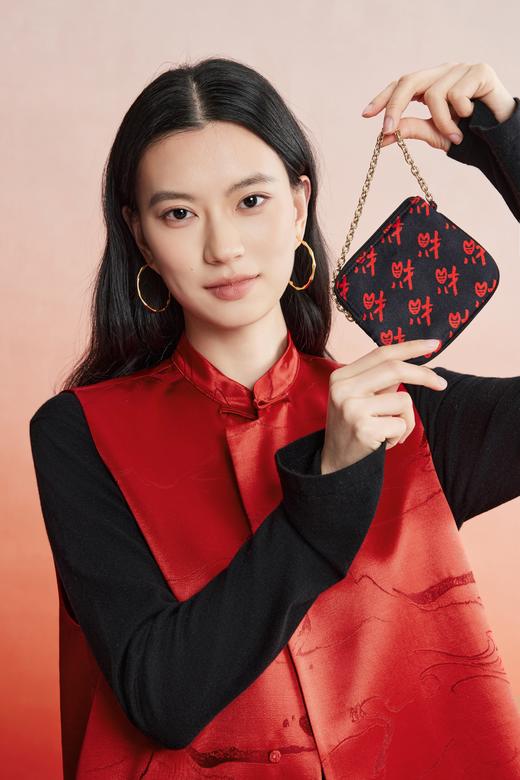 凯喜雅真丝小拎包 商品图0