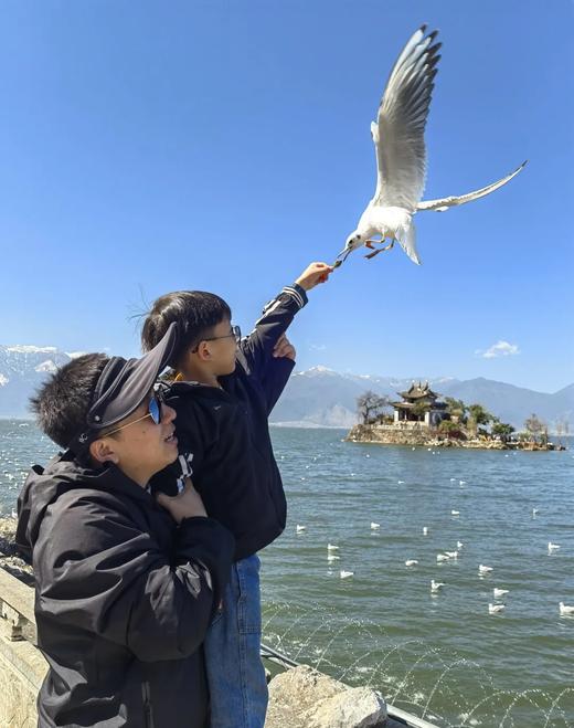 【云南旅游】大理丽江6天5晚亲子研学跟团游 商品图3