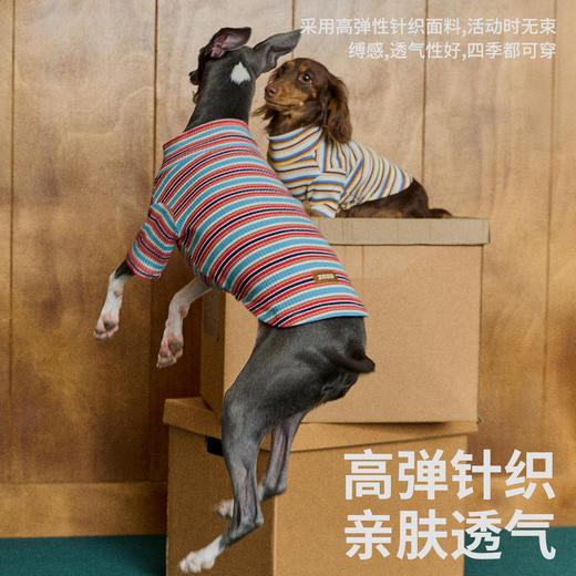条纹宠物打底衫（包邮）-B 商品图3