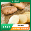 生态土豆 | 细嫩稠滑 | 合作生产 * Ecological Potato 商品缩略图0