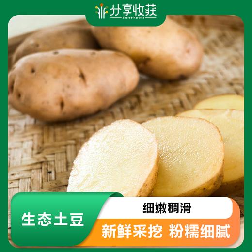 生态土豆 | 细嫩稠滑 | 合作生产 * Ecological Potato 商品图0
