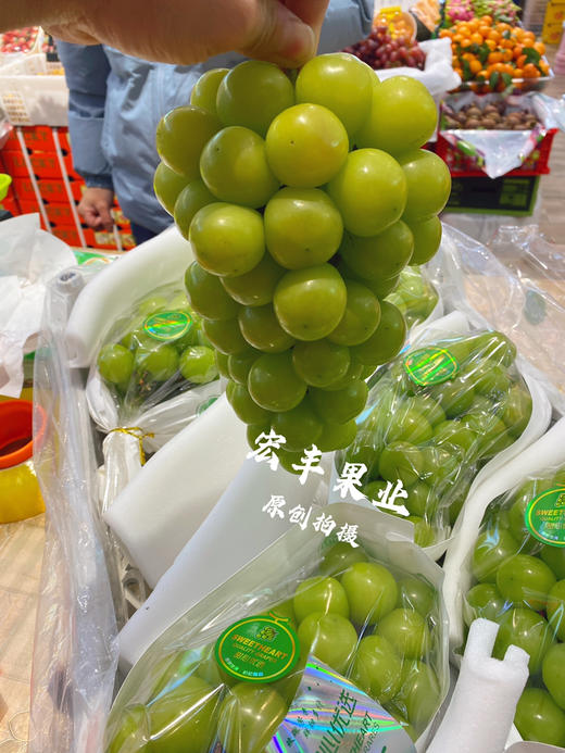 宏丰精选  特级阳光玫瑰，口感纯甜，活动价12.8元一斤 商品图1