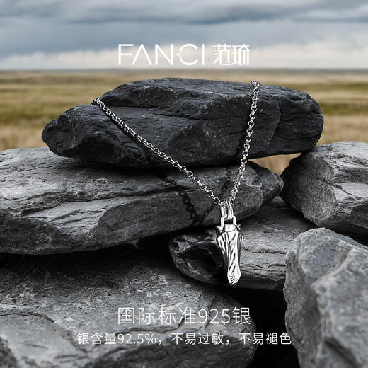 Fanci范琦 马首系列以梦为马项链水纹款轻奢新年送男友生日礼物 商品图2