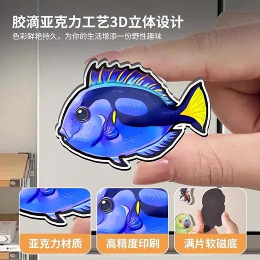 冰箱贴 鱼② 海水鱼观赏鱼主题 磁吸 Q版 卡通 水族鱼海洋鱼 周边文创 super rep超爬正版【48小时发货】 商品图1