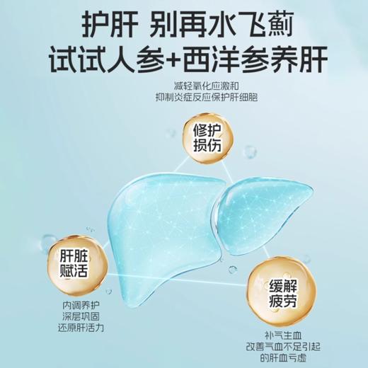 乐奔拓西洋参人参饮加班熬夜缓解疲劳养肝喝酒应酬护肝 商品图4