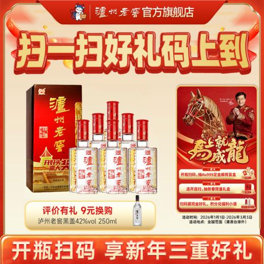 【扫码有好礼】38度泸州老窖六年窖头曲酒（09版）五码装500ml*6  泸州老窖官方旗舰店 商品图0