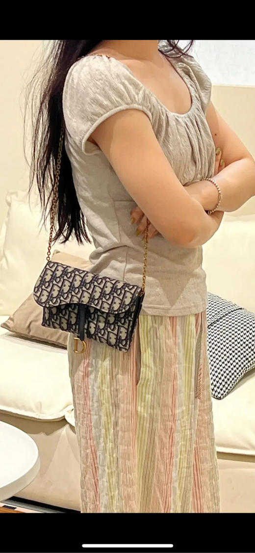 Dior 二合一 老花 woc 马鞍包 商品图3