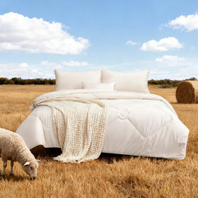 水星臻选澳洲羊毛冬被