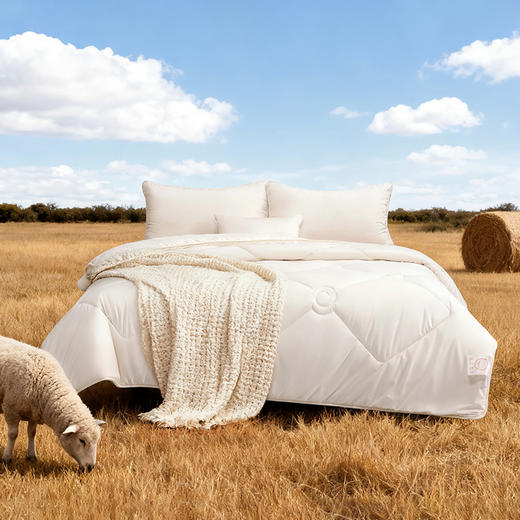 水星臻选澳洲羊毛冬被 商品图0