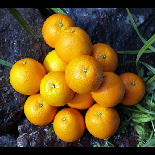 【限量甄选！春节前最后100箱】生态土、生态水、有机肥、自然果香 核心产区 赣南寻乌脐橙10斤装 商品图8