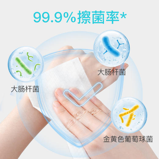 安贝儿金盏花湿厕纸80抽*5包装/80抽*48包装 商品图3