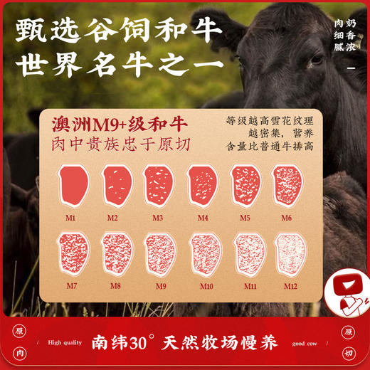 澳牛M9+雪绒和牛切片原切烤肉片牛肉片150g*5盒 商品图1