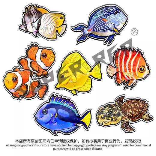 冰箱贴 鱼② 海水鱼观赏鱼主题 磁吸 Q版 卡通 水族鱼海洋鱼 周边文创 super rep超爬正版【48小时发货】 商品图9