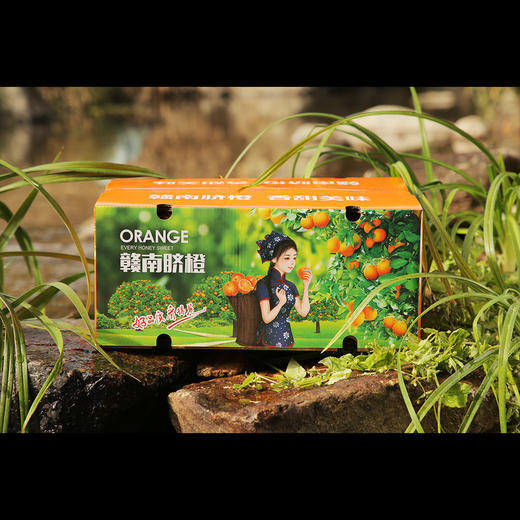 【限量甄选！春节前最后100箱】生态土、生态水、有机肥、自然果香 核心产区 赣南寻乌脐橙10斤装 商品图3