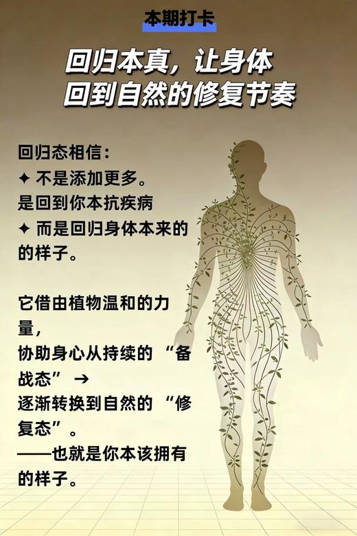 回归态打卡 商品图0