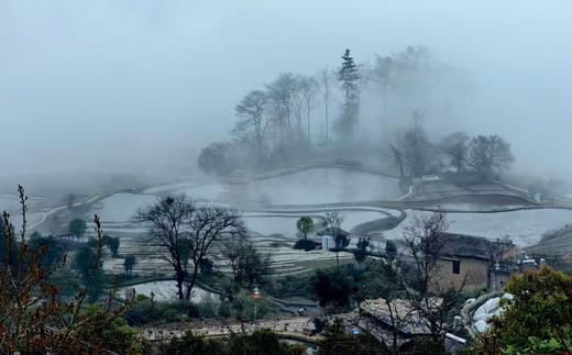 元阳梯田“灌水期”（多依树、老虎嘴、坝达、蓝梯田）5天精品摄影团 商品图11