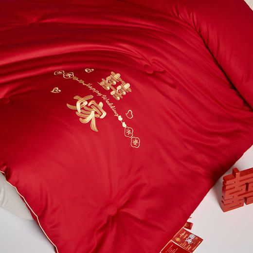 60支长绒棉婚嫁大豆被子全棉冬被加厚结婚陪嫁大红色新婚喜被春秋棉被芯 商品图2